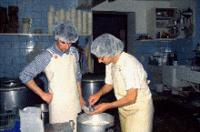 Formation à la gestion d'un troupeau de chèvres et fabrication du fromage juillet 2011