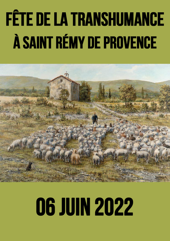 39ème Transhumance à Saint-Rémy-de-Provence