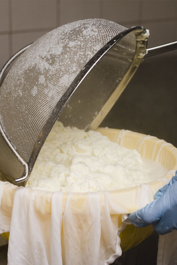 Atelier fabrication de fromage à la Médiathèque de Thonon-les-Bains