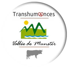 Fête de la transhumance et de la tourte à Munster (68) -  Septembre 2017